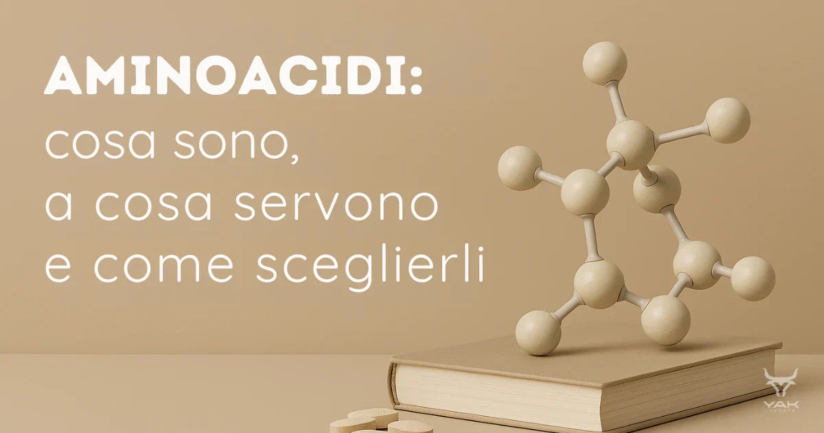 AMINOACIDI: cosa sono, a cosa servono e come sceglierli - Leggi ora su YakSports