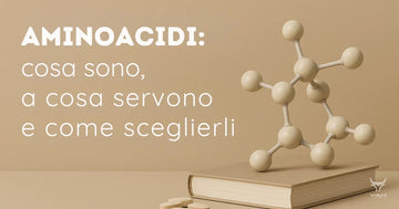 AMINOACIDI: cosa sono, a cosa servono e come sceglierli - Leggi ora su YakSports