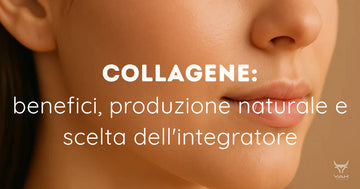 immagine articolo sul collagene di YakSports.it: primo piano di pelle liscia ed elastica per illustrare i benefici del collagene
