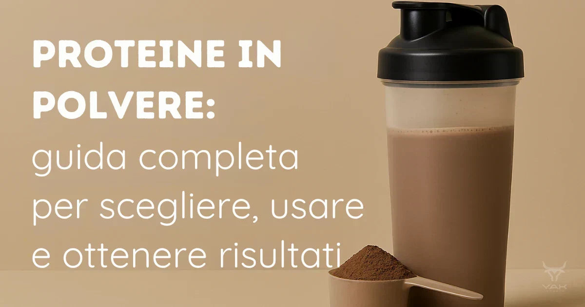 3 Portaproteine In Polvere Da 200ml Con Imbuto Integrato E Moschettone, Per Palestra E Viaggi, Colori Misti - 2