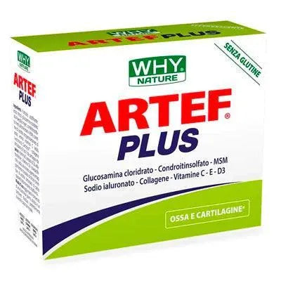 Artef Plus 12 buste - YakSports