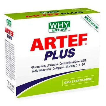 Artef Plus 12 buste - YakSports