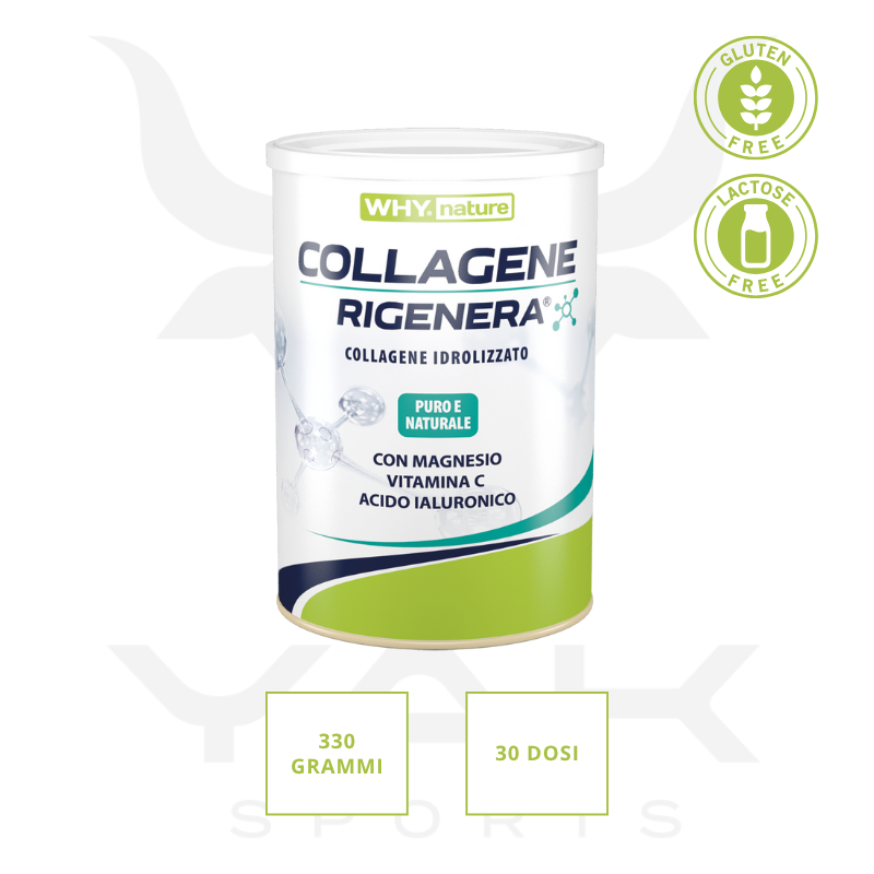 Collagene Rigenera 330g - YakSports
