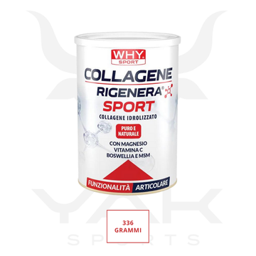 Collagene Rigenera Sport 336g - YakSports
