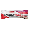 Energy Fuel 30g - YakSports