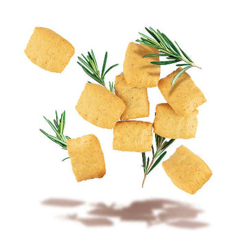 Protosnack Crackers Stage 1 50g | Crackers Low Carb