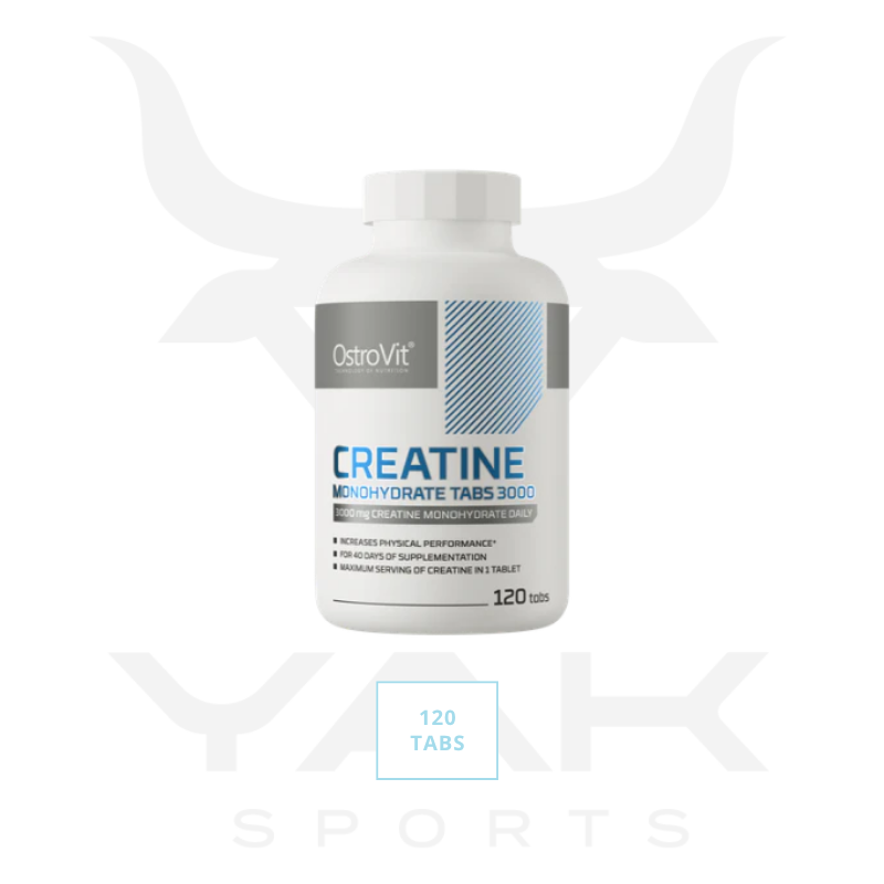 Creatina Monoidrata 3000mg 120 tabs
