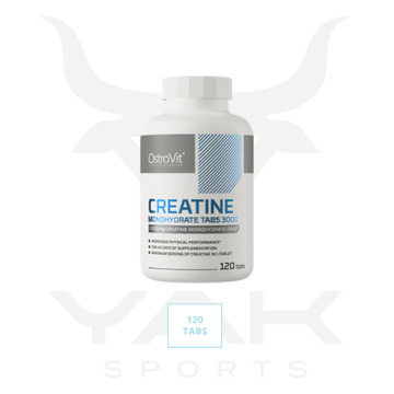 Creatina Monoidrata 3000mg 120 tabs