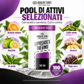 Absolute Series Liposhock Thermo compresse 100 compresse pool di attivi selezionati con estratti vegetali