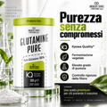 Anderson Glutamine Pure 500 g con L-Glutammina Kyowa Quality da fermentazione vegetale
