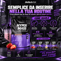 BioTechUSA Hyper Mass 1 kg gusto cioccolato con 254 kcal per porzione, creatina micronizzata, alto contenuto proteico, fonte di fibre e senza glutine