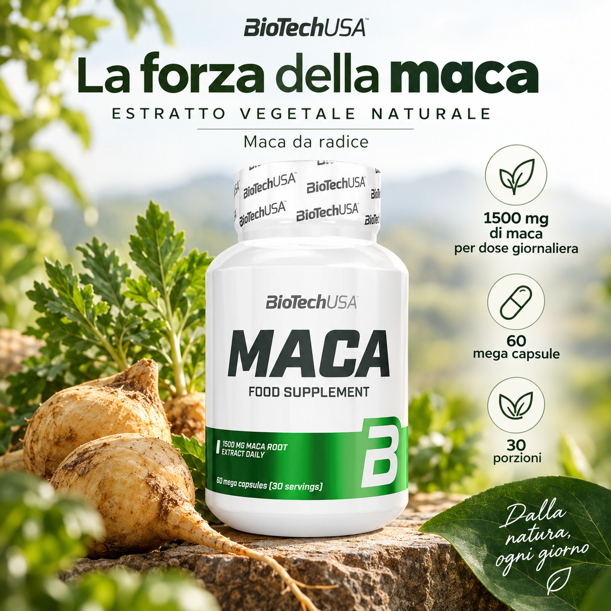 BioTechUSA Maca integratore con estratto naturale di radice di maca, formato da 60 mega capsule e 30 porzioni