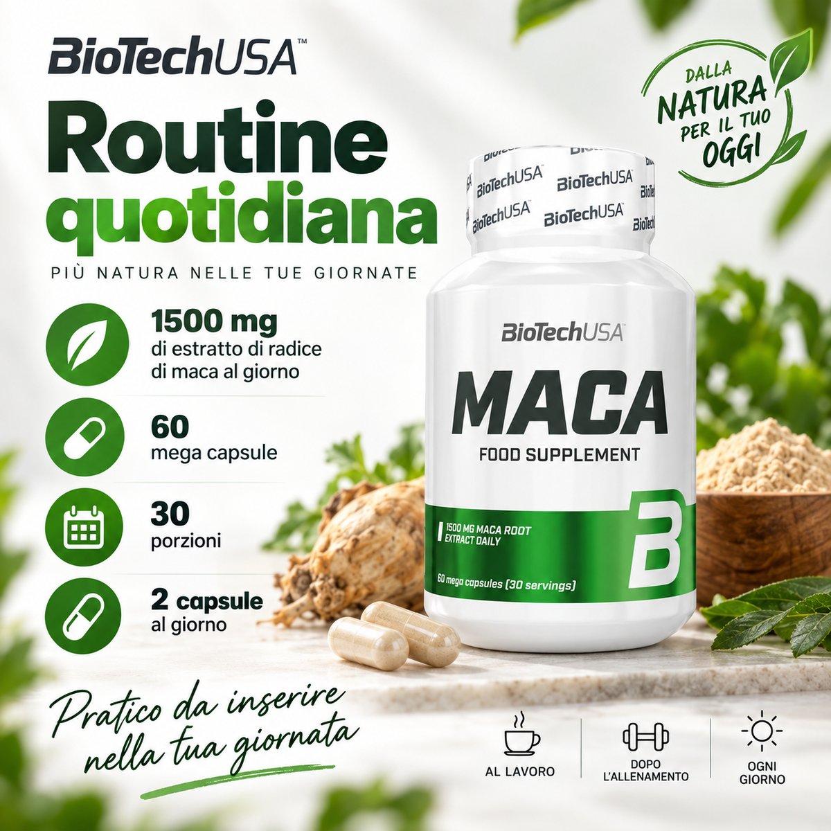 BioTechUSA Maca con 1500 mg di estratto di radice di maca per dose giornaliera, 60 mega capsule e 30 porzioni