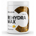 Dietaesport Re Hydra Max polvere 400 g gusto arancia