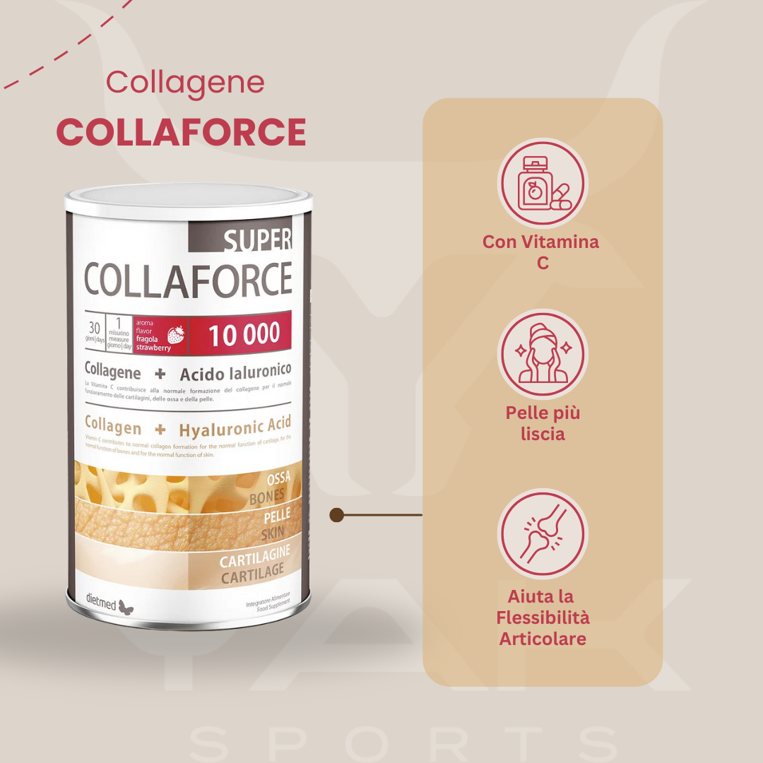 info collagene collaforce 10000 450g