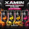 Xamin aminoacidi essenziali in polvere Anderson con 4 gusti disponibili: orange, lemon, tropical e red fruits
